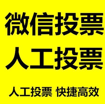 阜阳市投票活动拉票能被查出来吗？如何操作能不被发现？